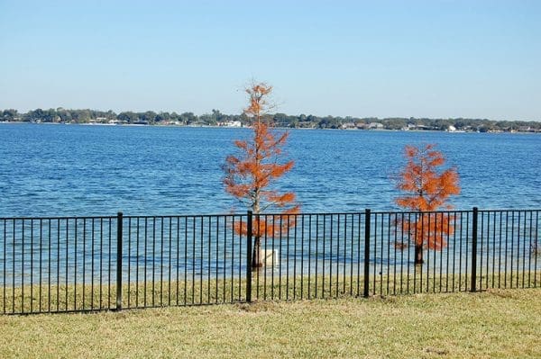 fence by lake